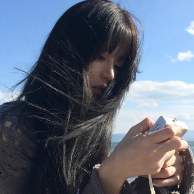 盗贼生涯